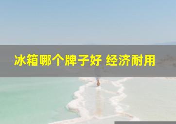 冰箱哪个牌子好 经济耐用